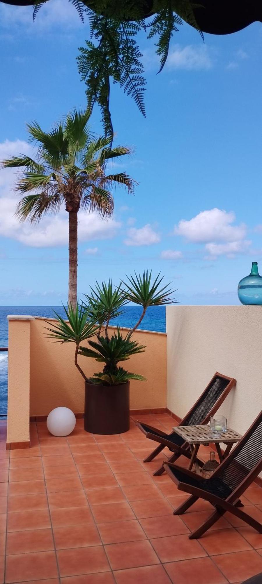 Facing The Ocean Apartment Santa Maria de Guia de Gran Canaria Екстериор снимка