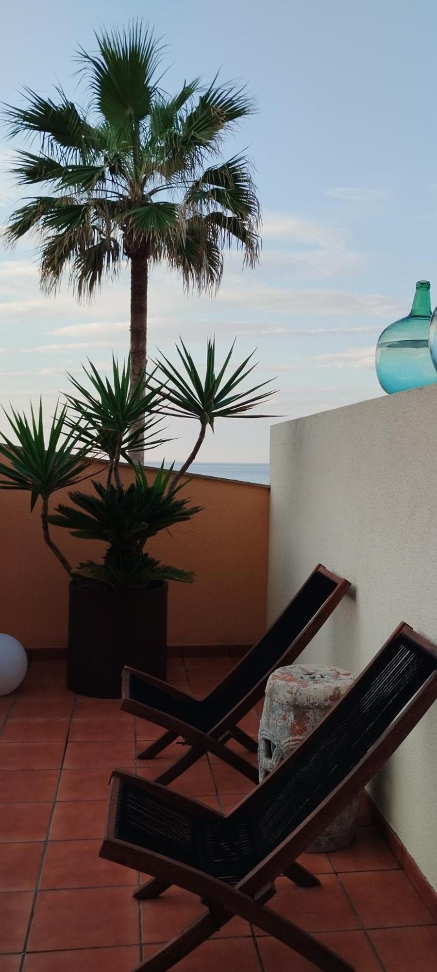 Facing The Ocean Apartment Santa Maria de Guia de Gran Canaria Екстериор снимка